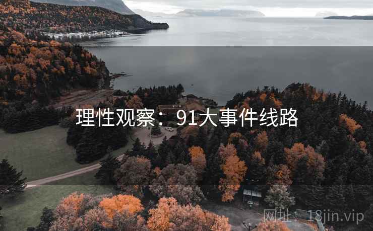 理性观察：91大事件线路