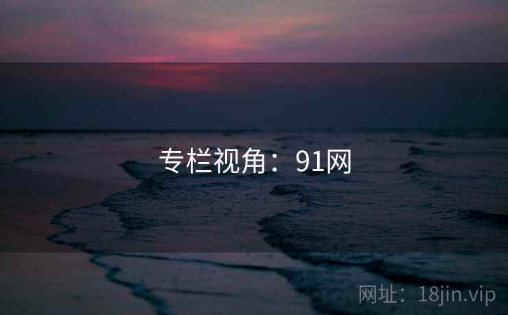 专栏视角：91网
