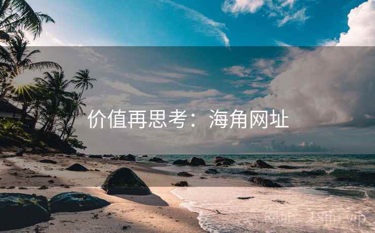 价值再思考：海角网址