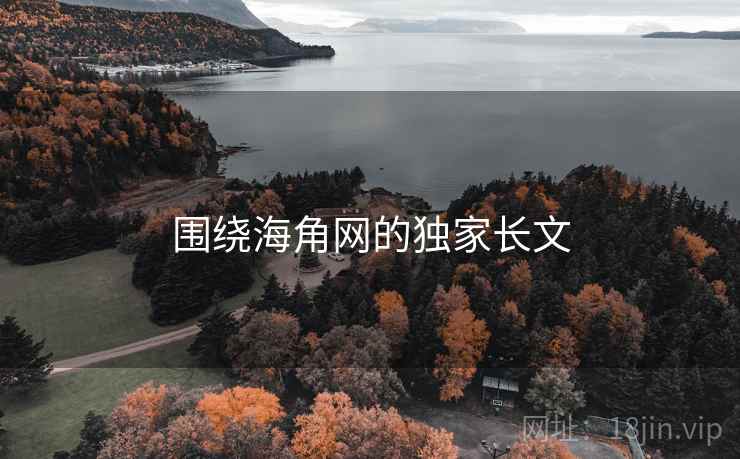 围绕海角网的独家长文