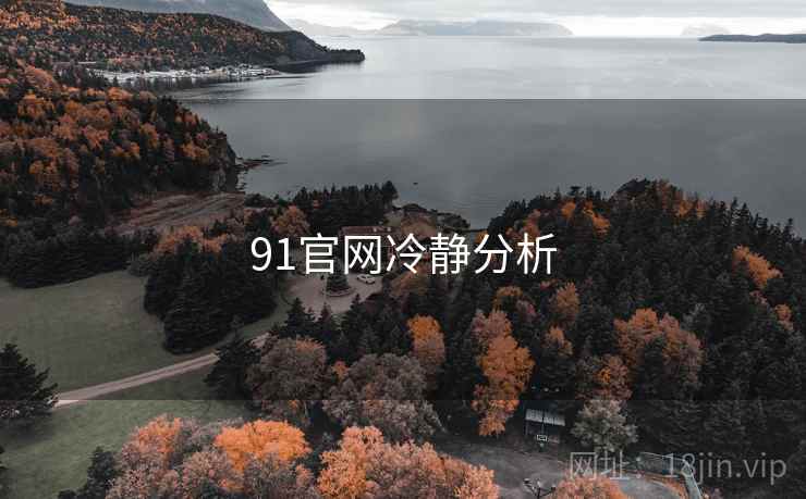 91官网冷静分析