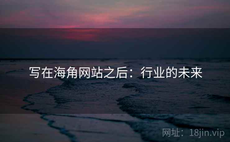 写在海角网站之后：行业的未来