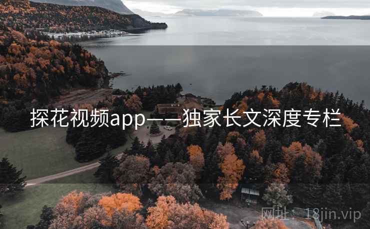 探花视频app——独家长文深度专栏